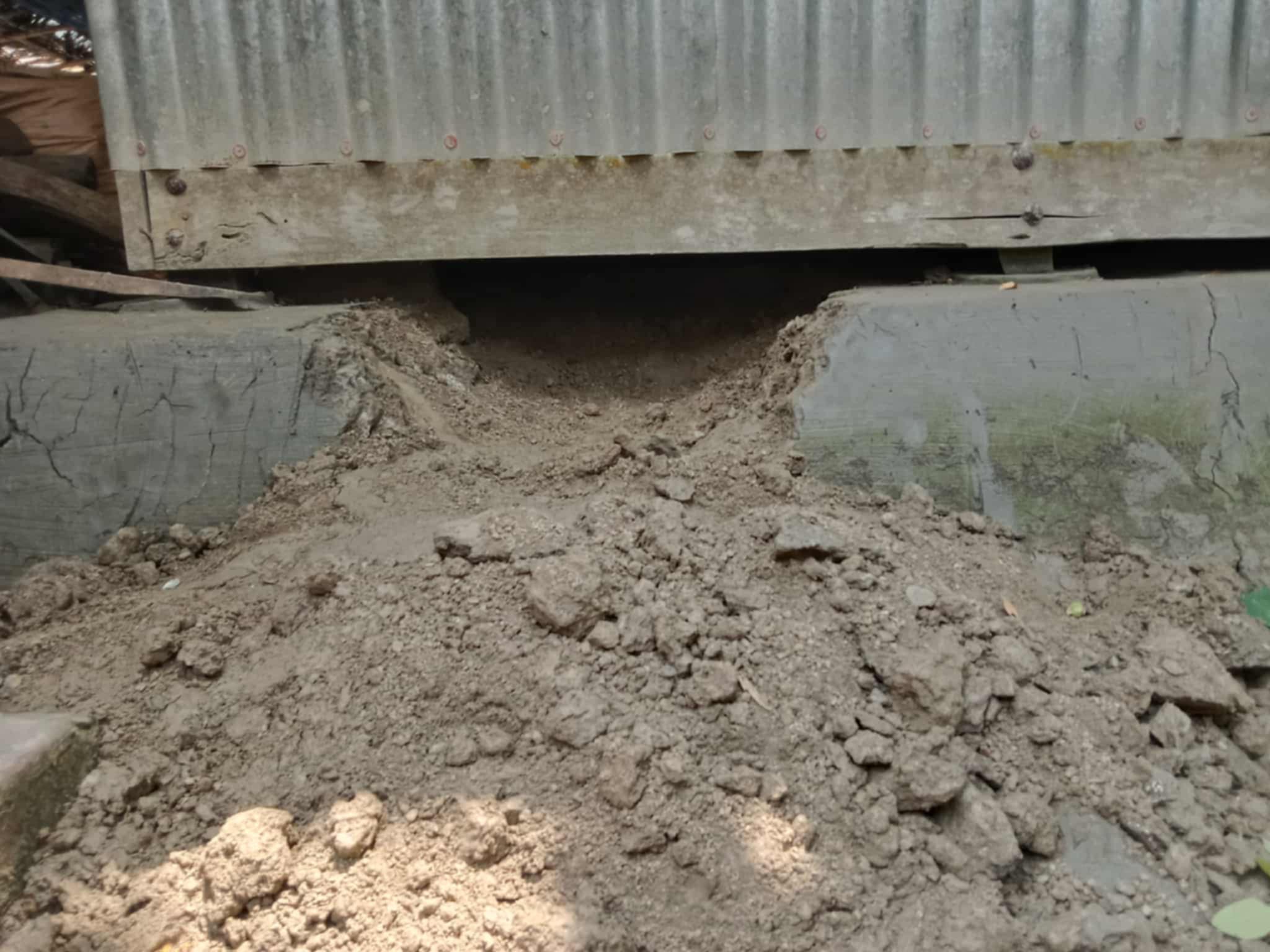 1000126076 1000126076