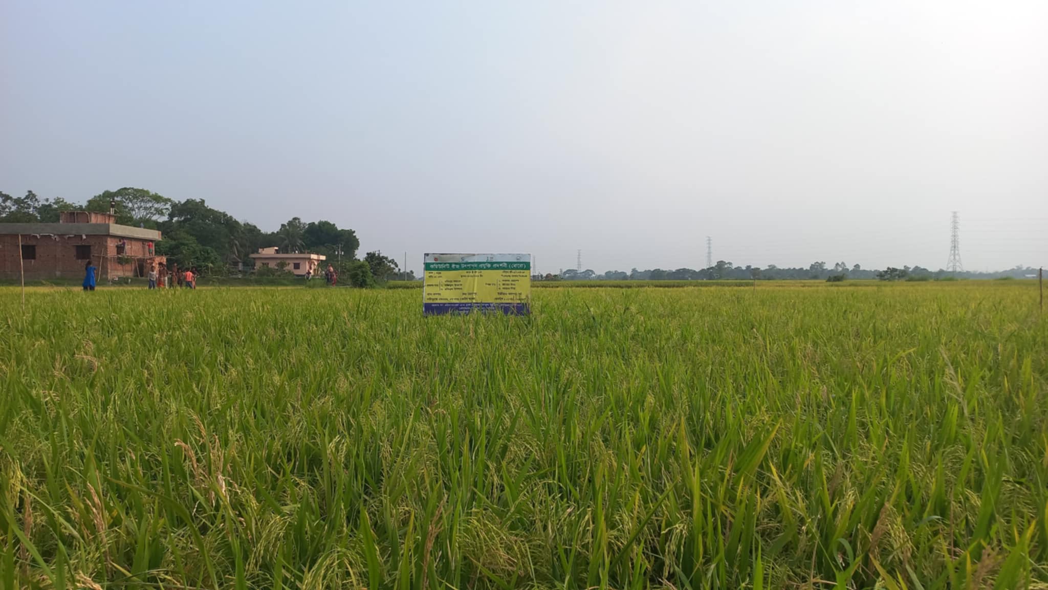 1000387904 1000387904