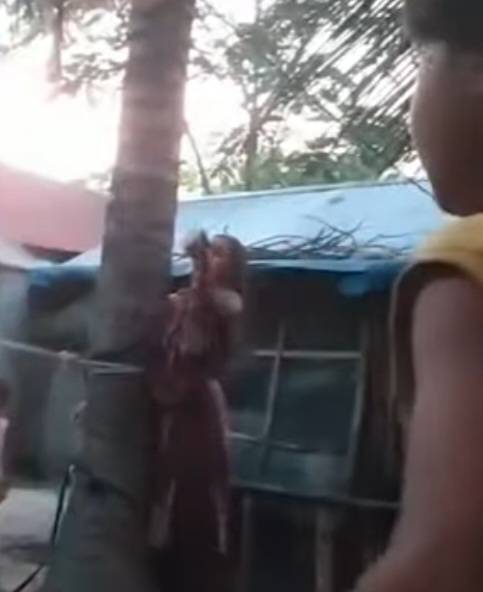 487851813_1714949342446274_1325021291116545560_n 487851813_1714949342446274_1325021291116545560_n