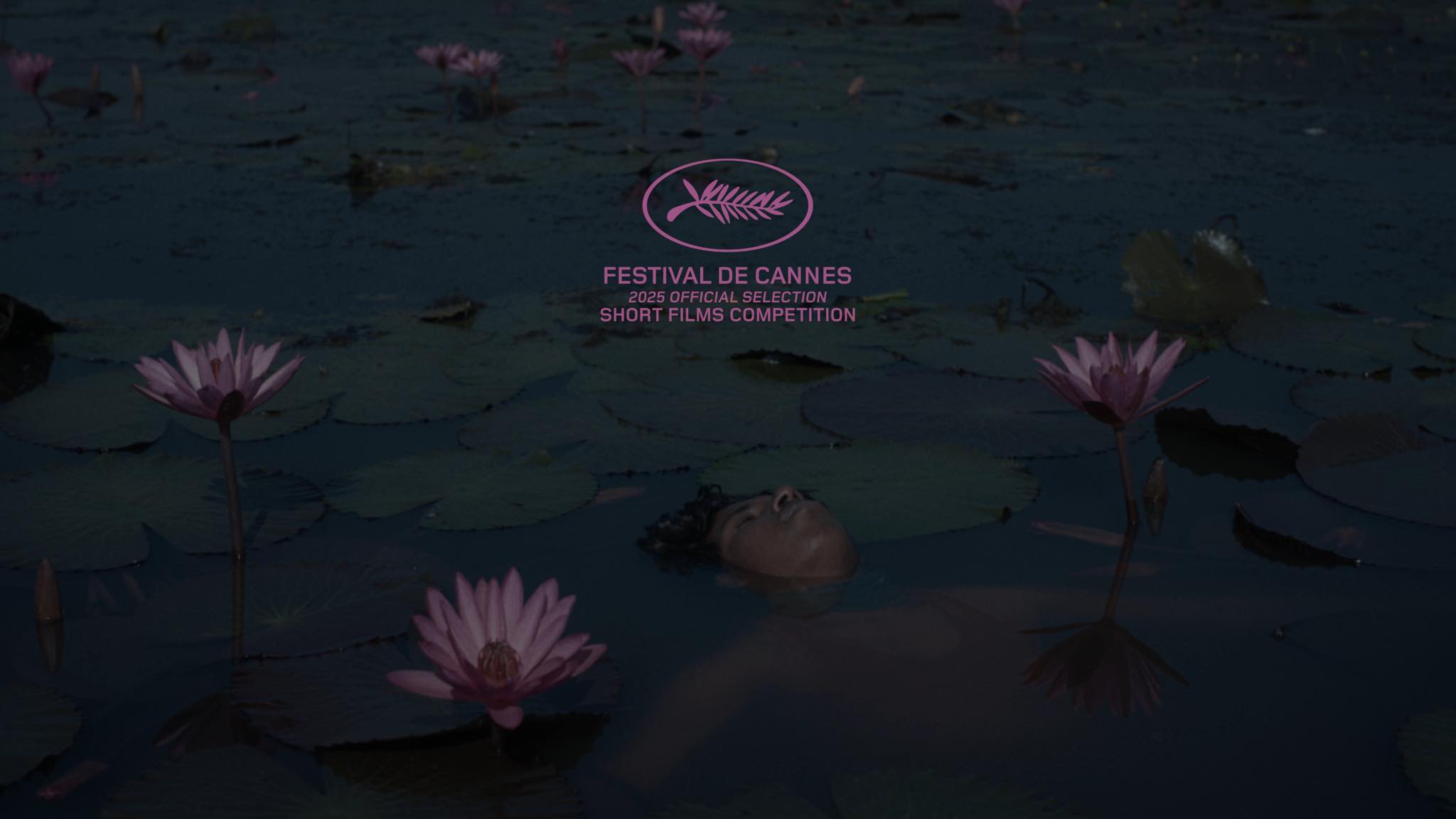 493156226_10161601417732404_628959561006296322_n 493156226_10161601417732404_628959561006296322_n