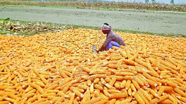 98d0bf33a5aa98a101fc208d7b797e0f-645204d3ad551 98d0bf33a5aa98a101fc208d7b797e0f-645204d3ad551