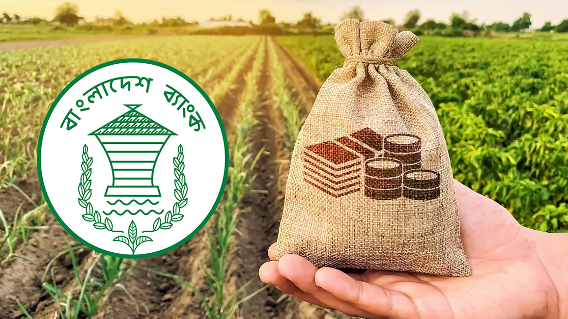 ৯ মাসে ৬৫ শতাংশ কৃষি ও পল্লীঋণ বিতরণ
