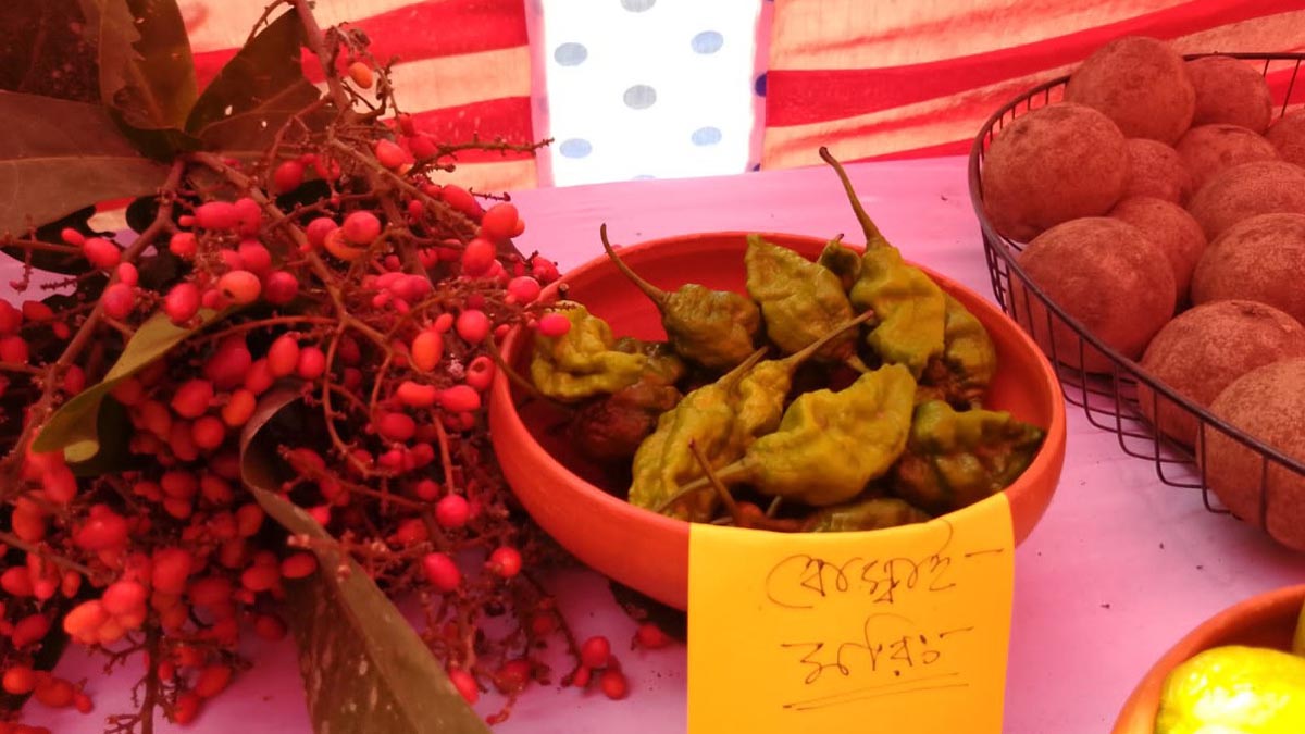 Jhalokhati_2