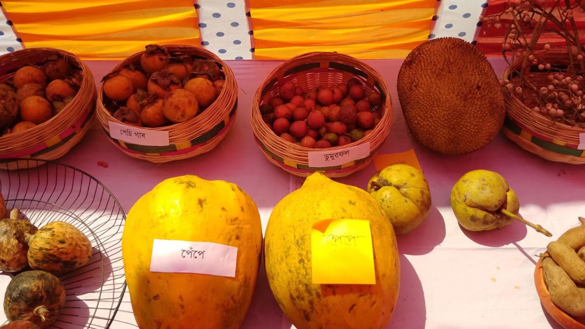 Jhalokhati_3