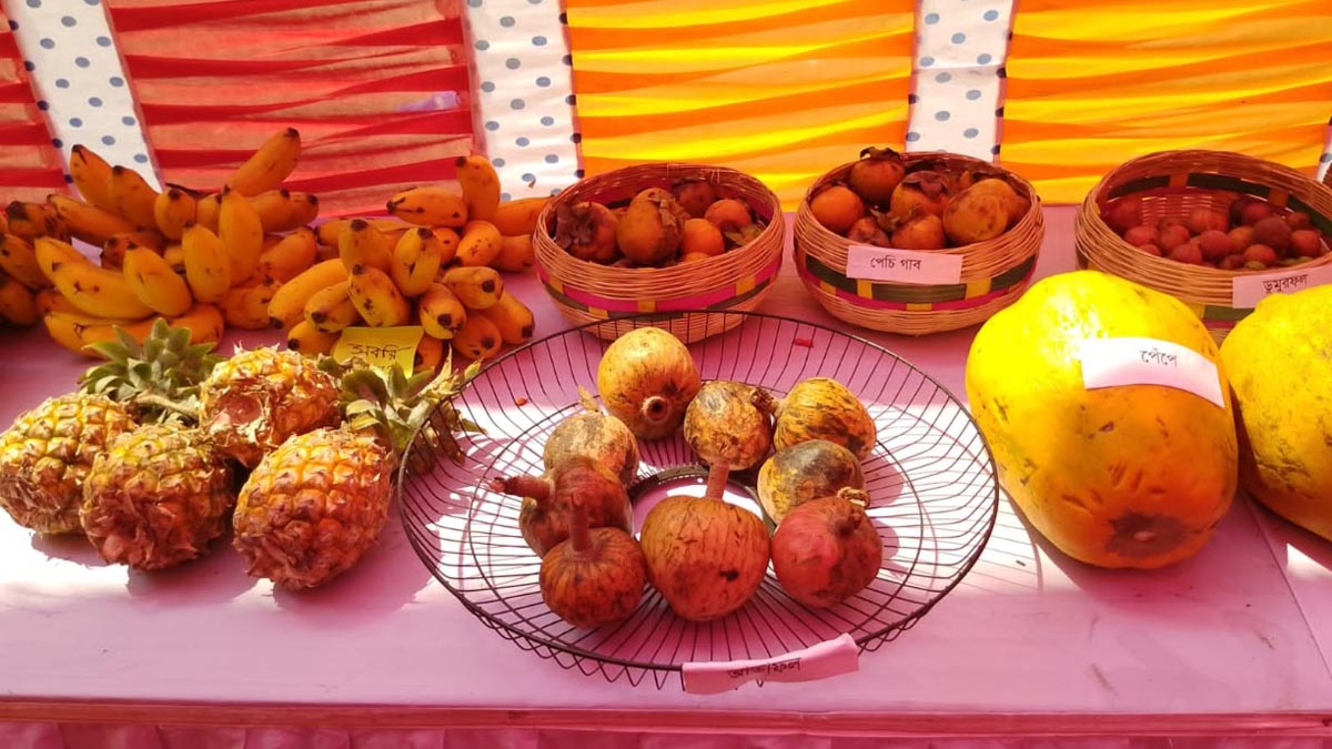 Jhalokhati_5