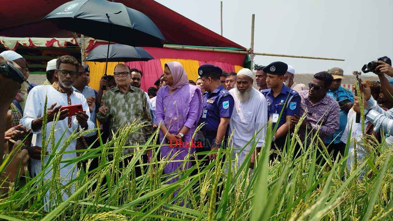 খাদ্য নিরাপত্তা নিয়ে কোনো শঙ্কা নেই: খাদ্য উপদেষ্টা