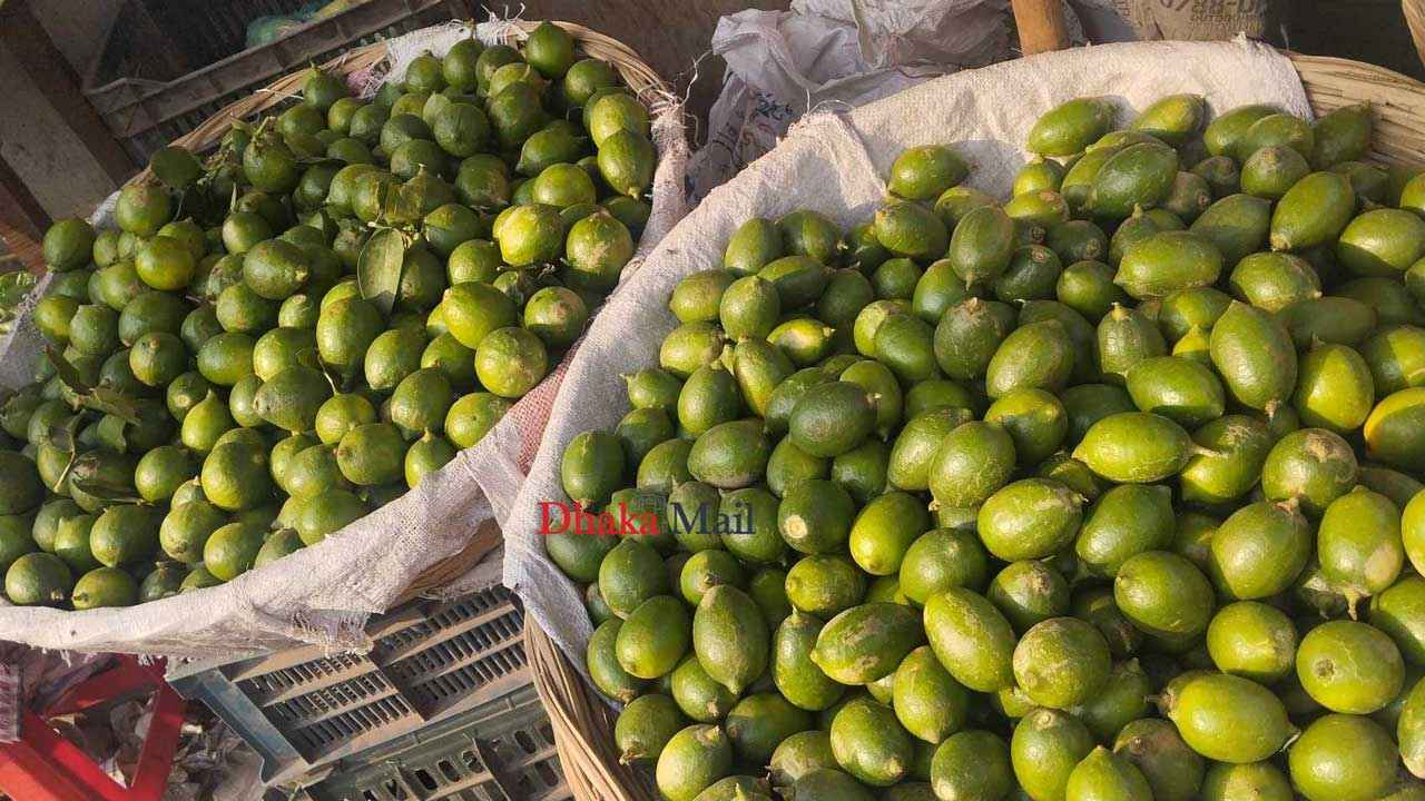 রমজানে সেঞ্চুরি করা লেবুর হালি এখন ১০ টাকা!