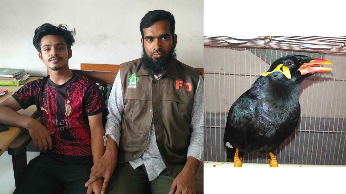 ময়না পাখির ছানা বিক্রি: বরিশালে যুবককে ১০ হাজার টাকা জরিমানা