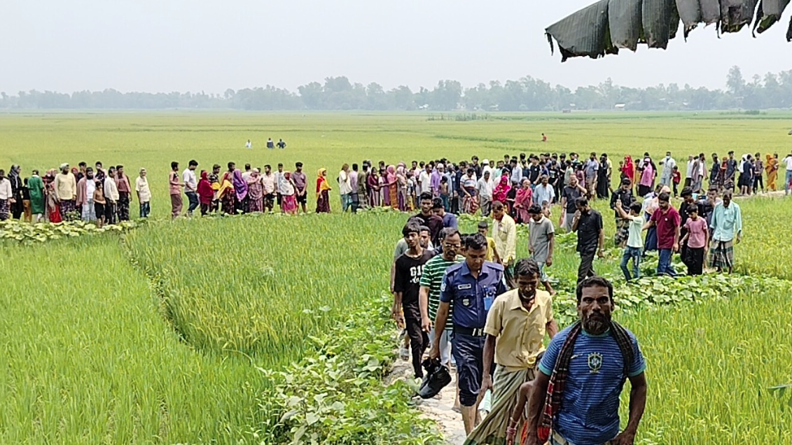 ধানক্ষেতে মিলল ৭০ বছর বয়সী এক বৃদ্ধার মরদেহ