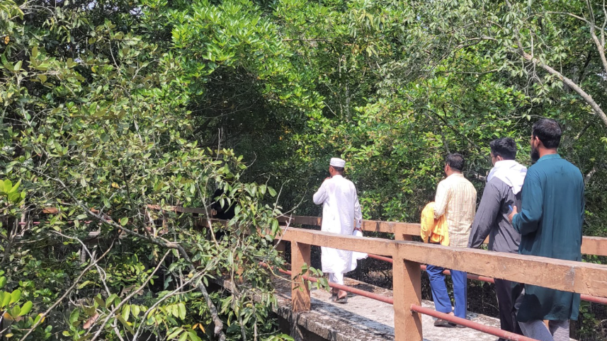 সুন্দরবনের গহিন অরণ্যে শেকেরটেকের সৌন্দর্য এক অপার বিস্ময়