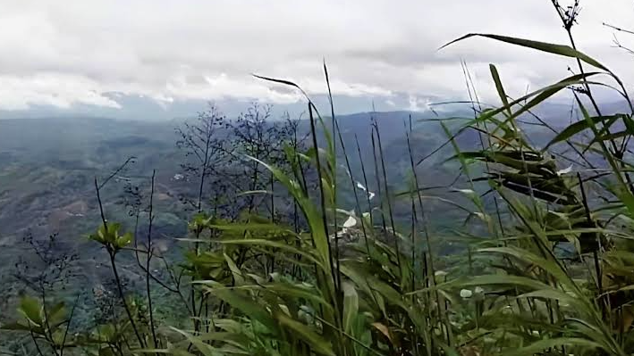 পাহাড়ে ছন সংগ্রহে গিয়ে যুবক অপহৃত