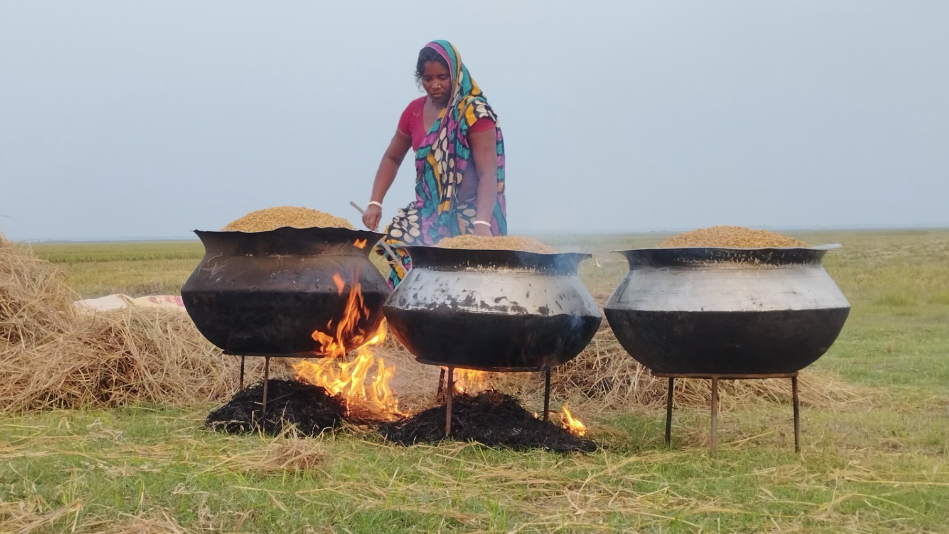 হাওরপাড়ে বইছে সেদ্ধ ধানের গন্ধ