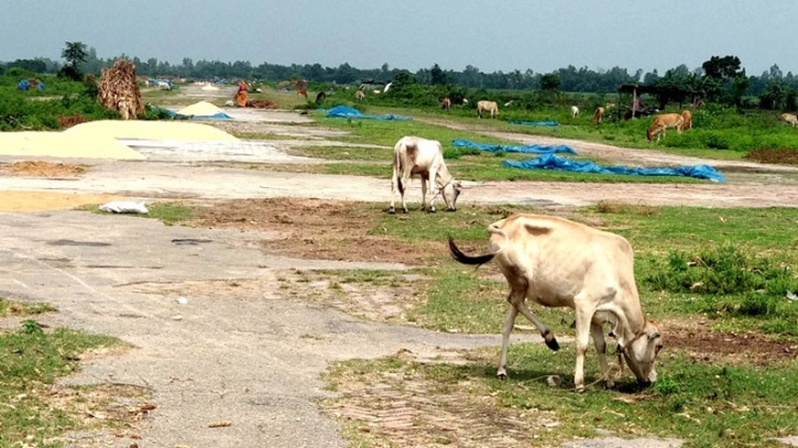 Thakurgaon-News-Pic-Biman1-2404151409 Thakurgaon-News-Pic-Biman1-2404151409