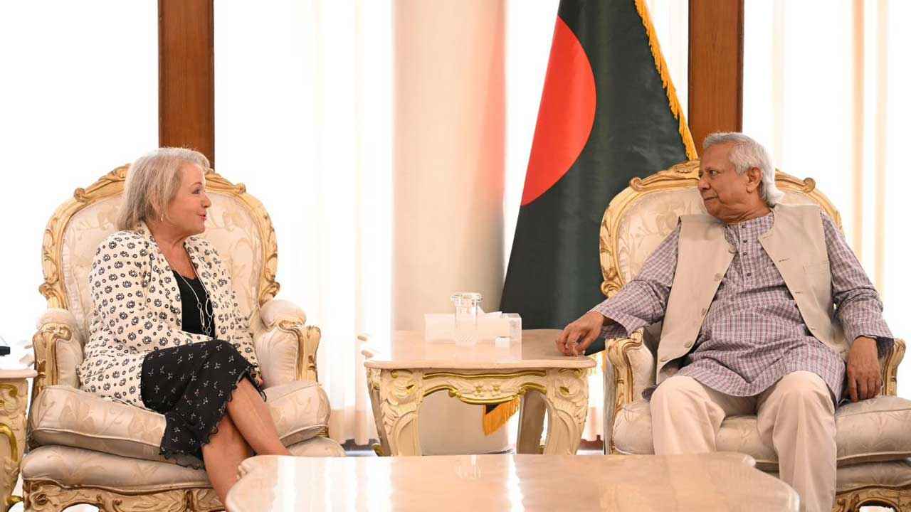 দলগুলো চাইলে ডিসেম্বরেই নির্বাচন: ড. ইউনূস