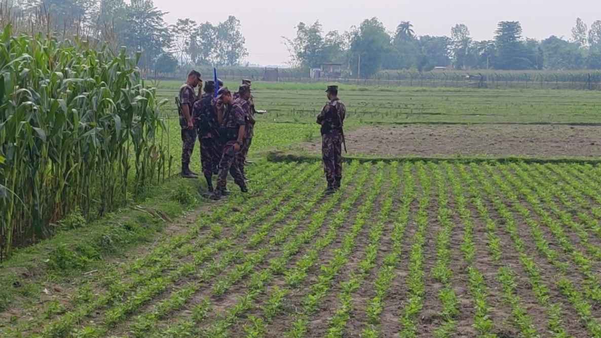 বাংলাদেশি তরুণকে ধরে নিয়ে গেল বিএসএফ