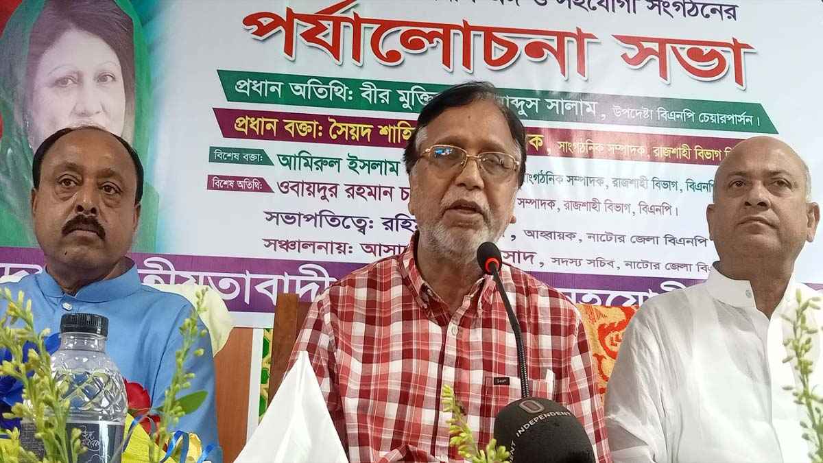 আ.লীগ আমলে দেশের মালিকানা ছিনতাই হয়ে গিয়েছিল: সালাম