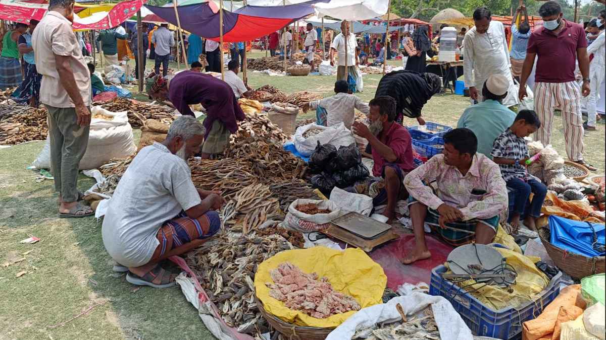 নাসিরনগরে জমজমাট ঐতিহ্যবাহী শুটকি মেলা