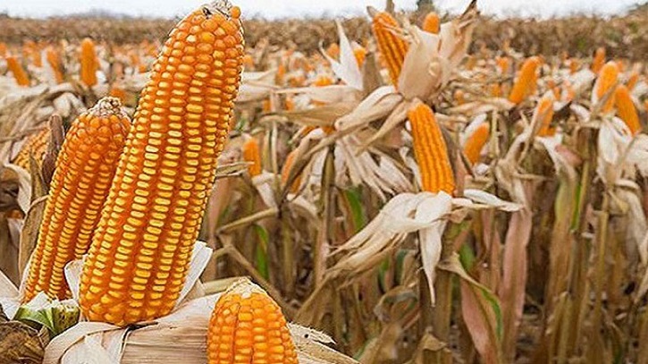 bv-news24-2305131222 bv-news24-2305131222