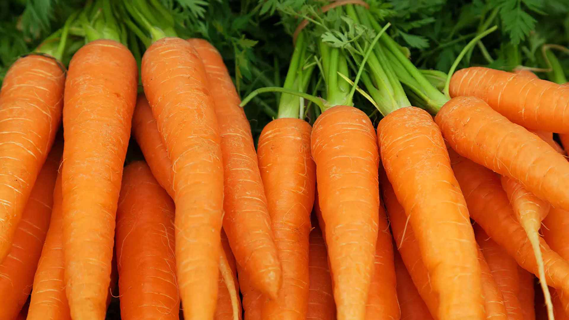 গাজর খেলে শরীরে কী ঘটে?