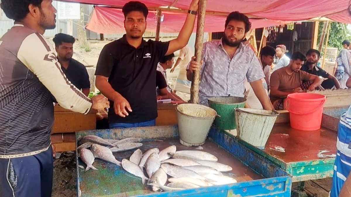 চাঁদপুরে বাজারে প্রকাশ্যে বিক্রি হচ্ছে জাটকা