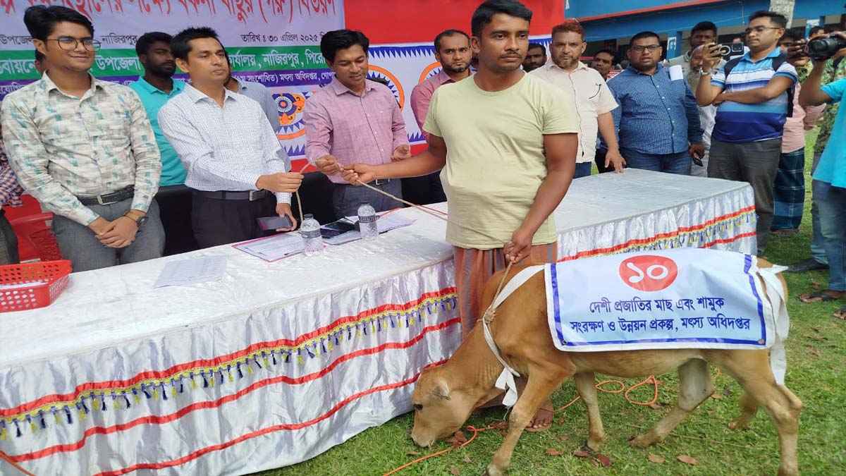 গরু বিতরণে অনিয়ম, বক্তব্য চাইলে সাংবাদিকদের সঙ্গে ইউএনওর অশোভন আচরণ