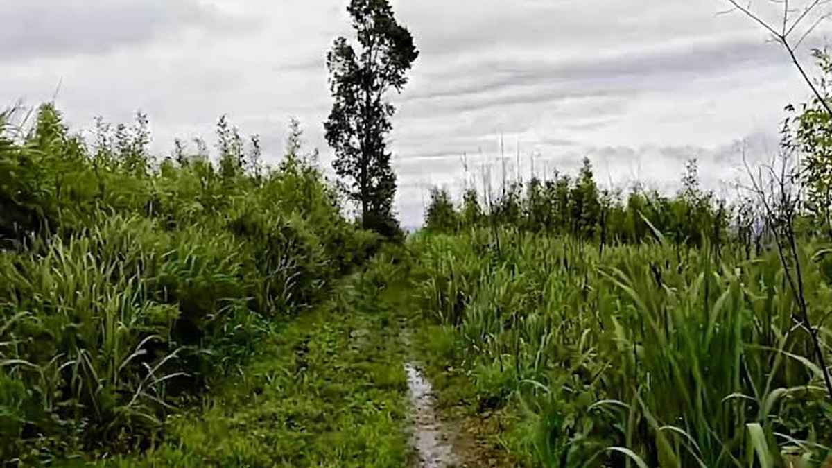 পাহাড়ে অপহৃত যুবকের কাছে ১০ লাখ টাকা মুক্তিপণ দাবি