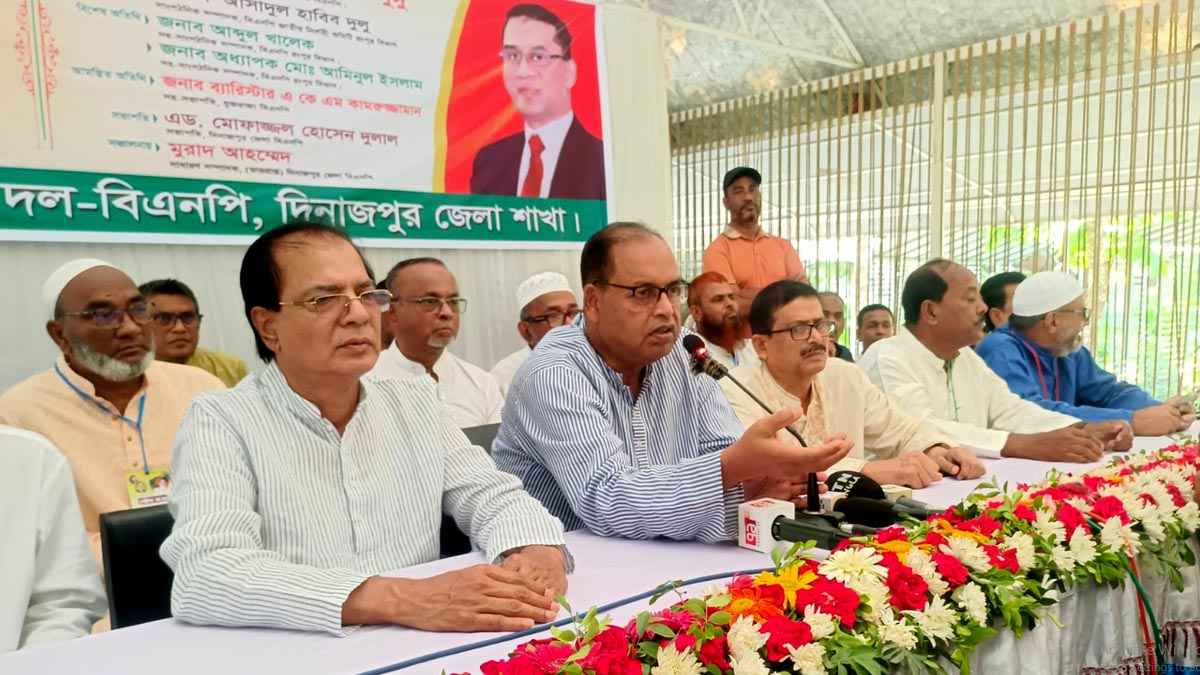 বিএনপি নির্বাচনের নির্ধারিত রোডম্যাপ দেখতে চায়: দুদু