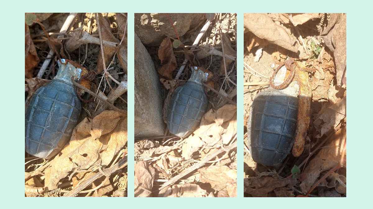 মেরিন ড্রাইভে অবিস্ফোরিত গ্রেনেডের সন্ধান