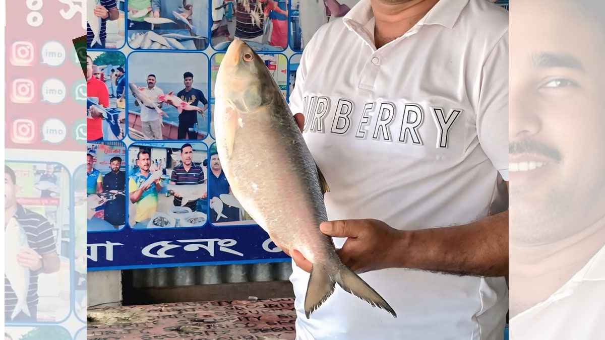 রাজবাড়ীতে পদ্মার এক ইলিশ সাড়ে ৮ হাজার টাকায় বিক্রি