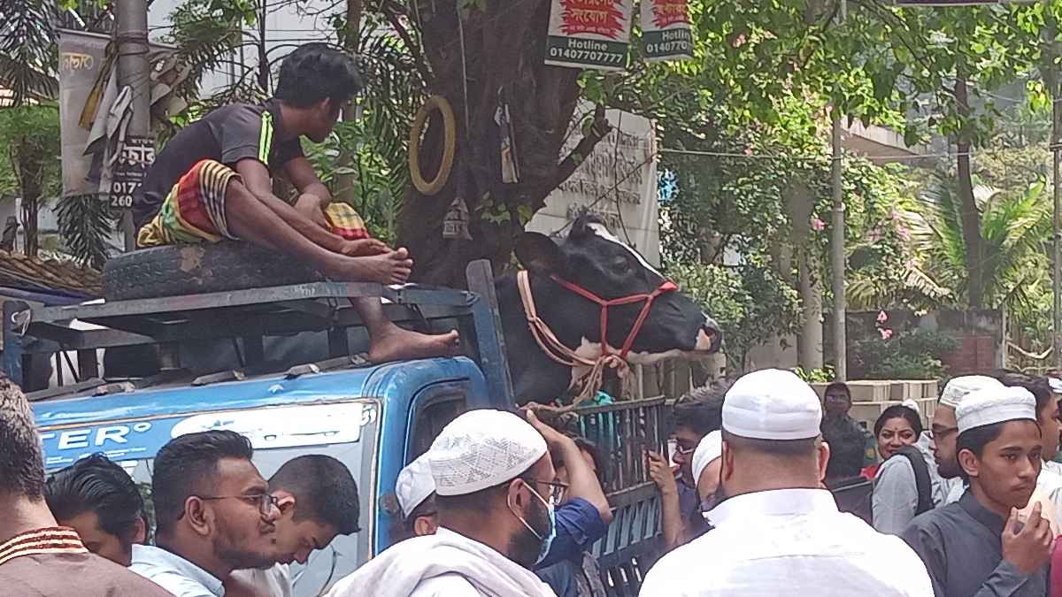 পহেলা বৈশাখ উপলক্ষে গরু জবাই করে জিয়াফত!