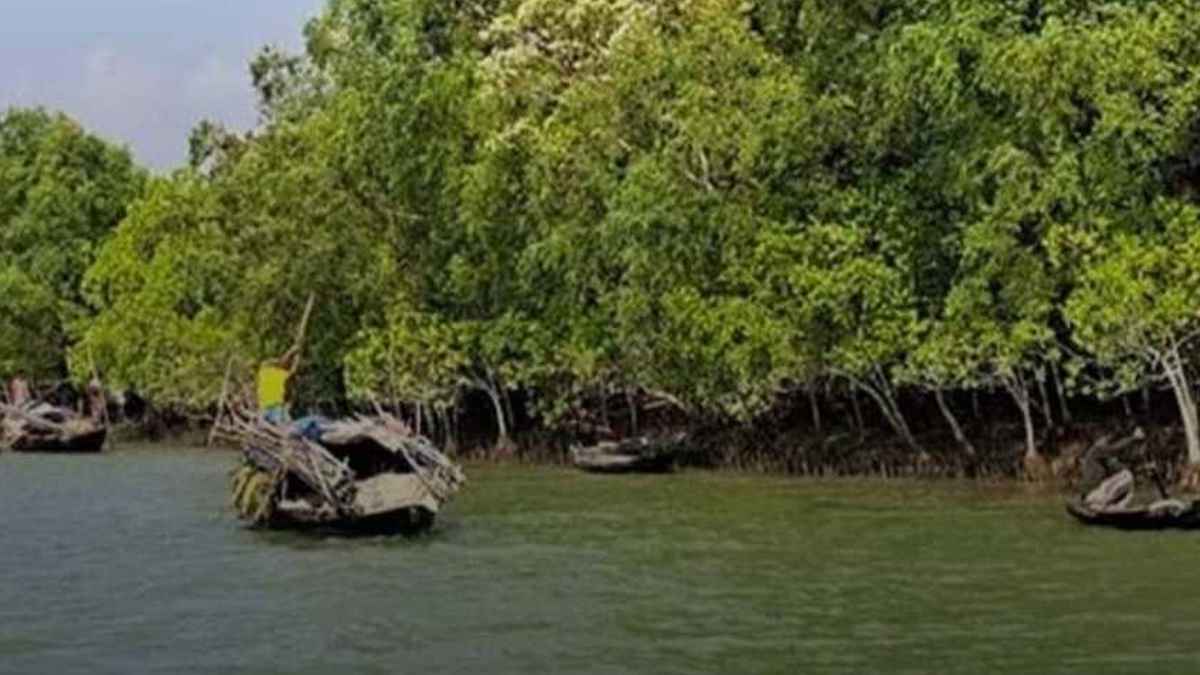 সুন্দরবনে ডাকাতদের কবল থেকে অপহৃত নারীসহ ৩৩ জেলে উদ্ধার