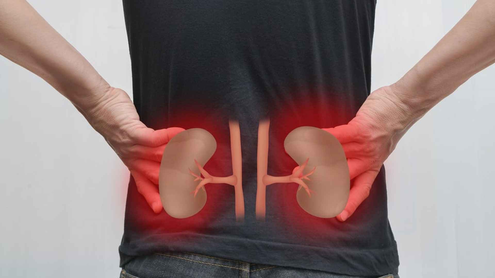 কিডনির কাজ কী?