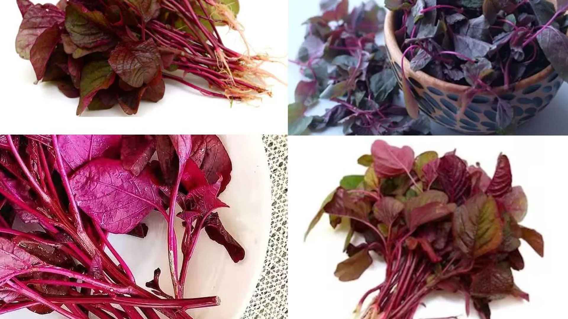 লালশাক কাদের জন্য উপকারি, কারা খেলে ক্ষতি?