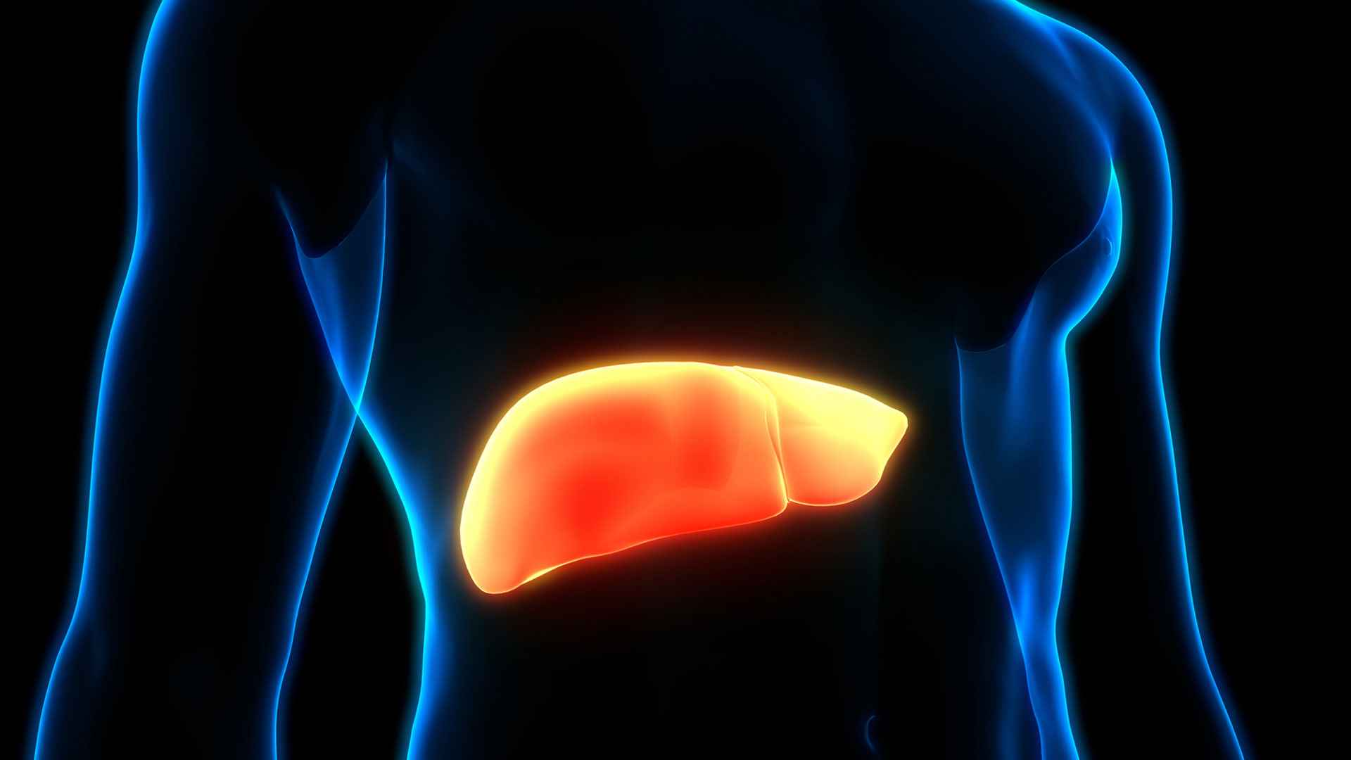 ফ্যাটি লিভার সম্পর্কে এই ধারণাগুলো ভুল 