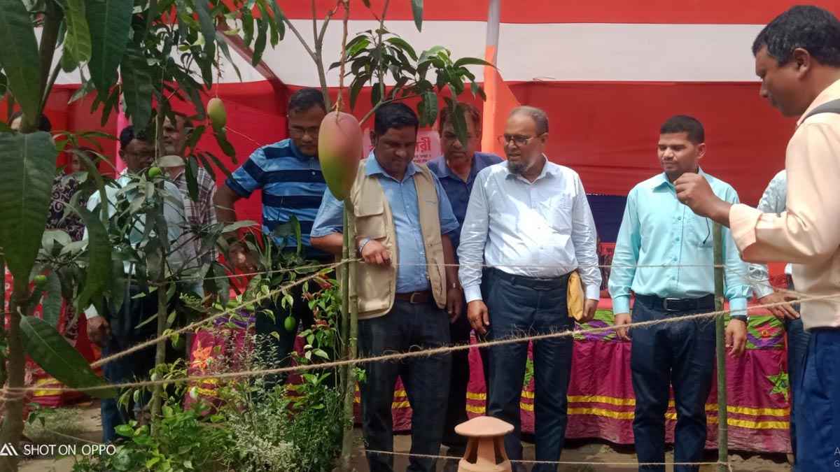 গাইবান্ধার মালিবাড়িতে পরিবেশবান্ধব মেলা
