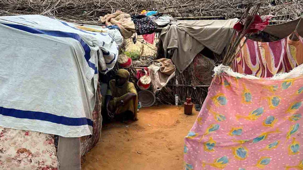 দারফুরে সশস্ত্র হামলায় শিশুসহ শতাধিক নিহত: জাতিসংঘ