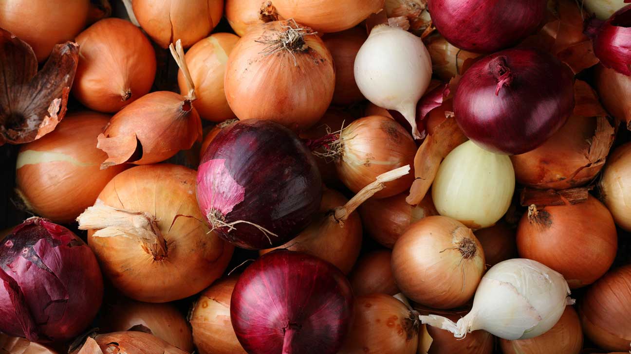 onion3 onion3