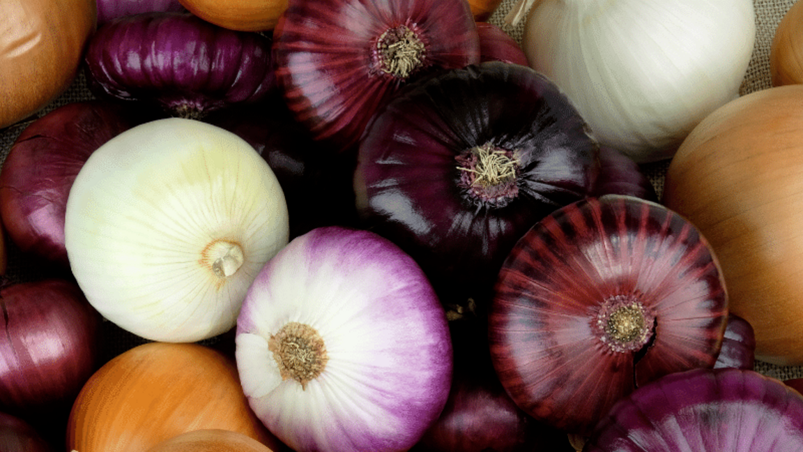 বছরজুড়ে পেঁয়াজ থাকবে টাটকা, জানুন সংরক্ষণের উপায়
