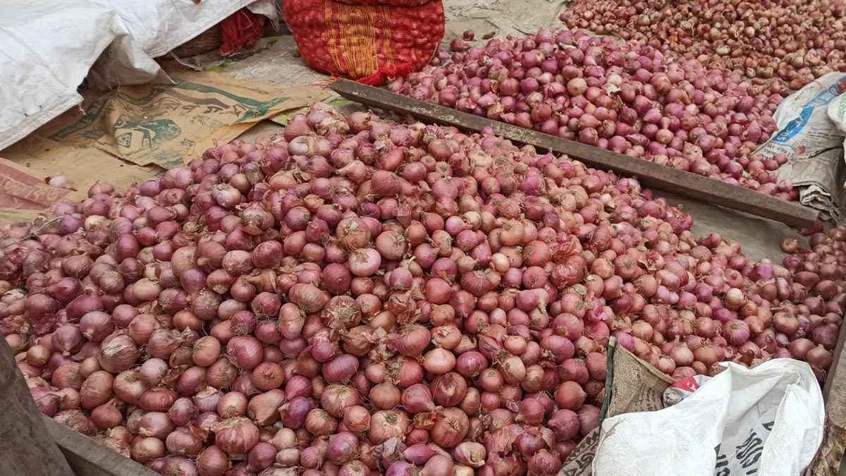 রাজবাড়ীতে ৫০ টাকা কেজিতে বিক্রি হচ্ছে পেঁয়াজ