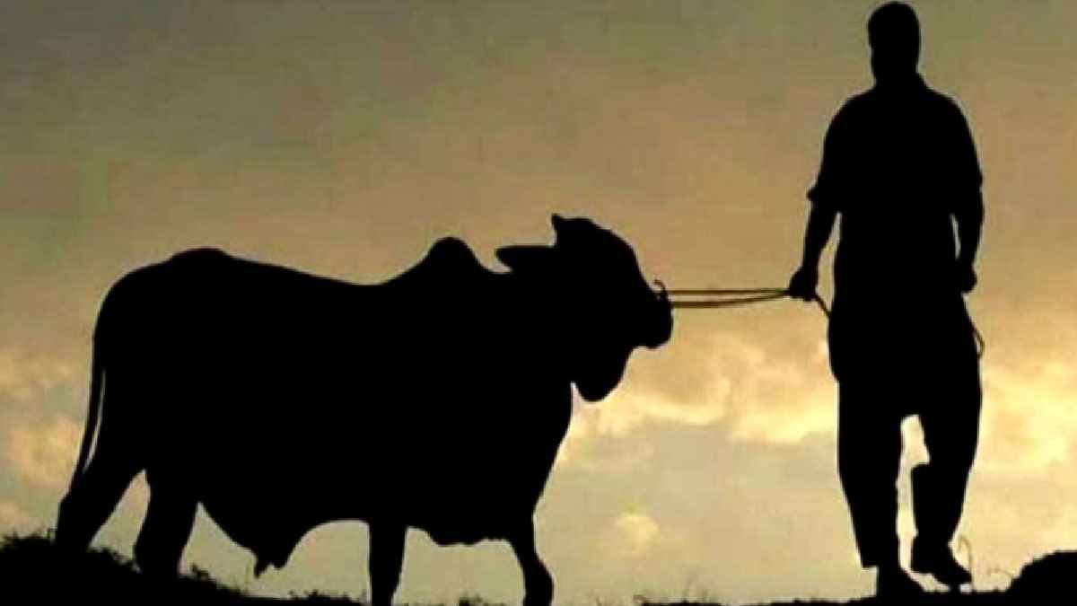 কোরবানি কার ওপর ওয়াজিব