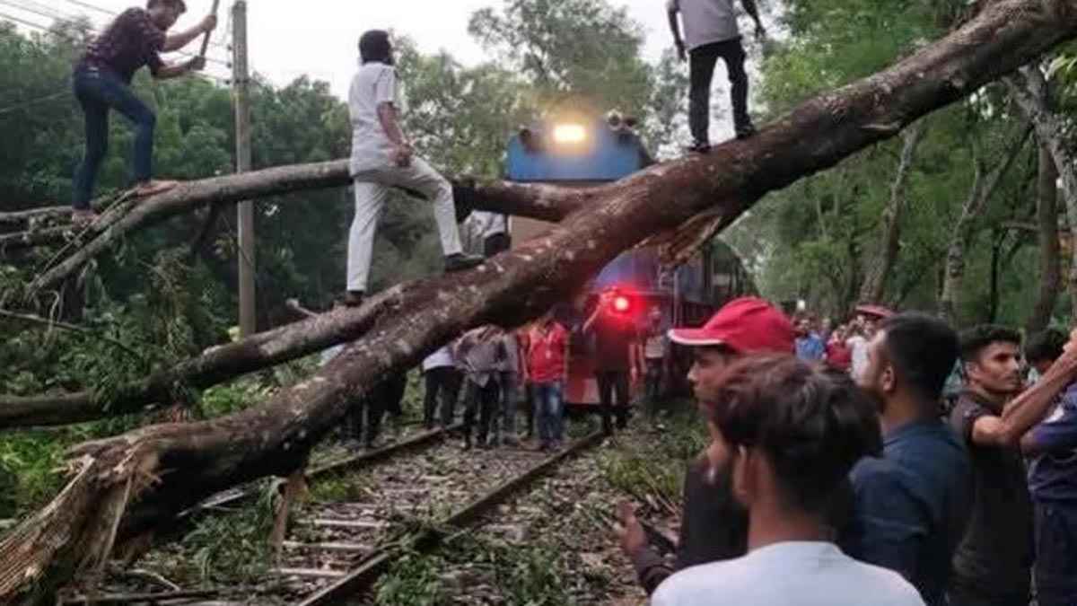 রাজবাড়ীতে ঝড়ে রেললাইনের ওপর গাছ ভেঙে পড়ে ট্রেন চলাচলে বিঘ্ন