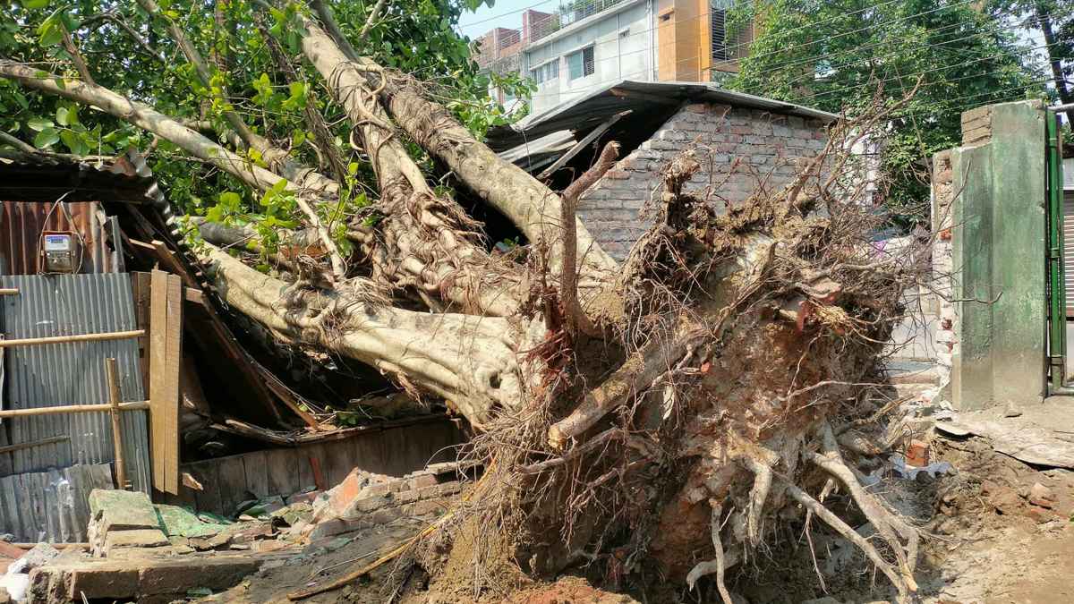 রংপুরে কালবৈশাখী ঝড়-বৃষ্টি