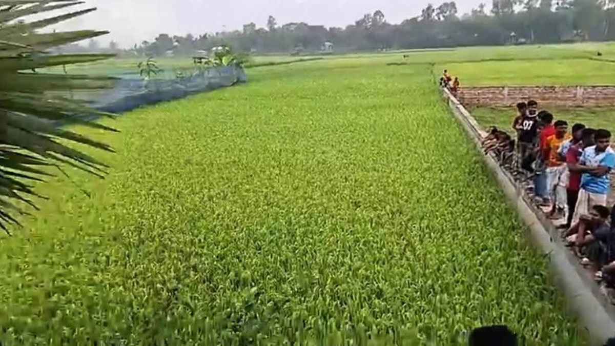 ধানক্ষেত থেকে ইজিবাইক চালকের মরদেহ উদ্ধার