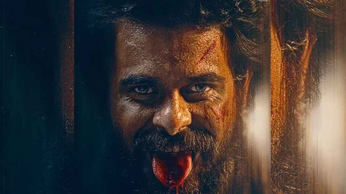 ১৬ দিনে কত আয় জংলির?