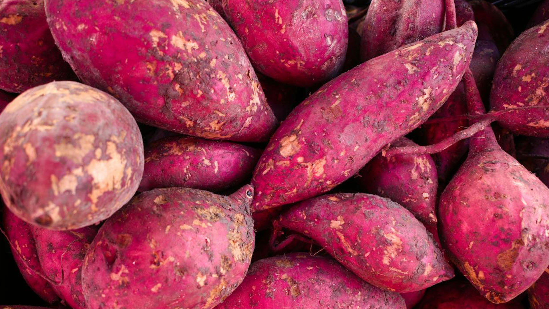 sweet-potato3 sweet-potato3