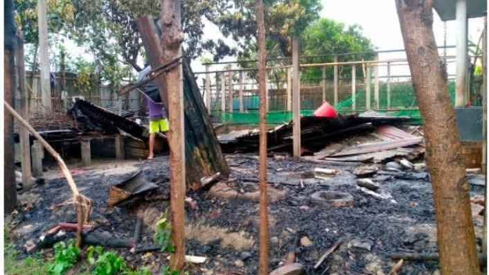 মোটরসাইকেল কিনে না দেয়ায় মুরগির খামার-ঘর পুড়িয়ে দিল ছেলে