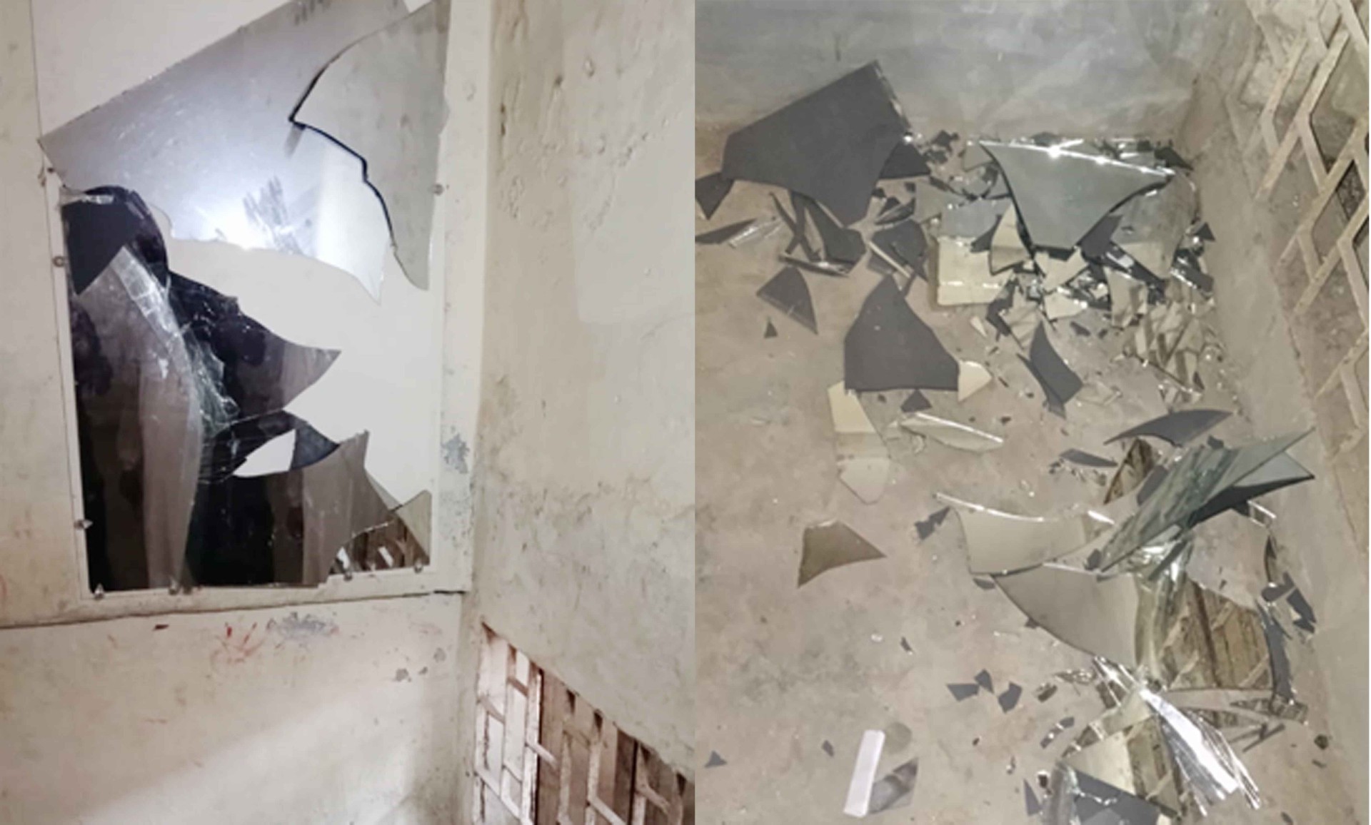 thumbnail_1000136606