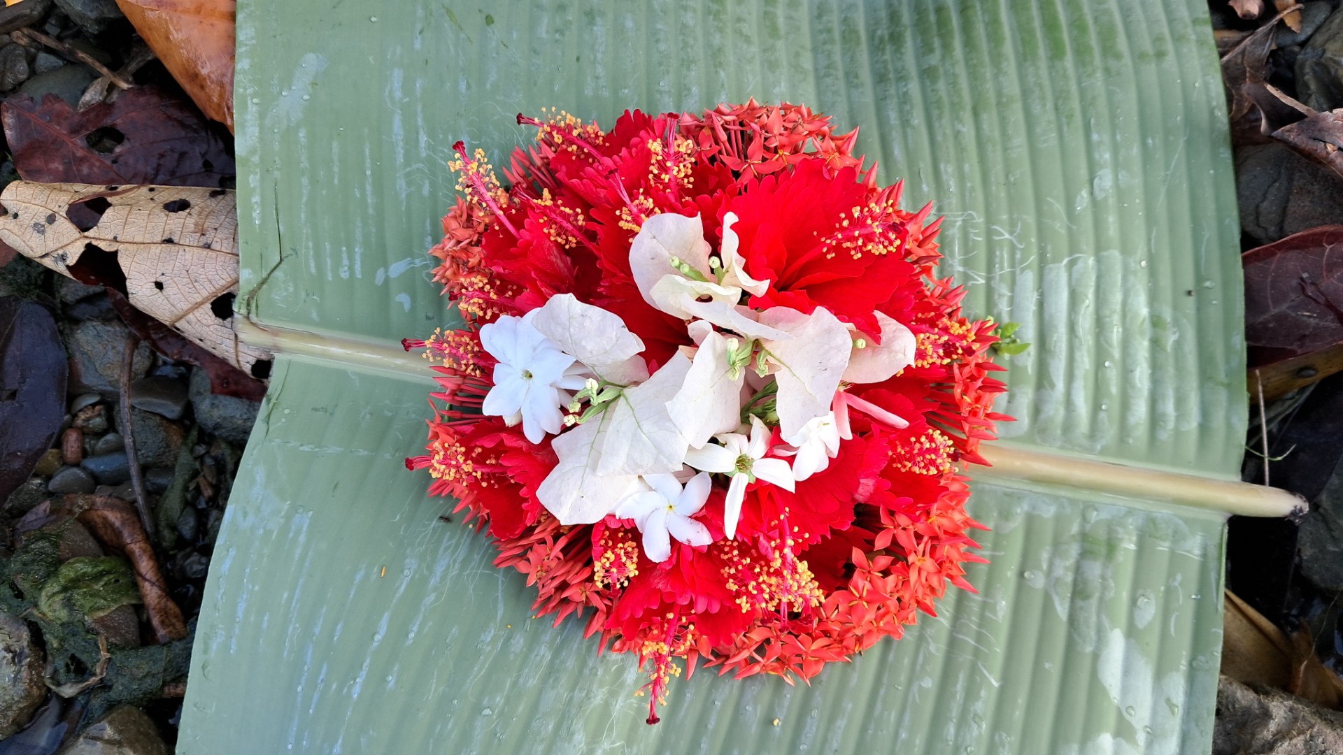 thumbnail_20250412_065243