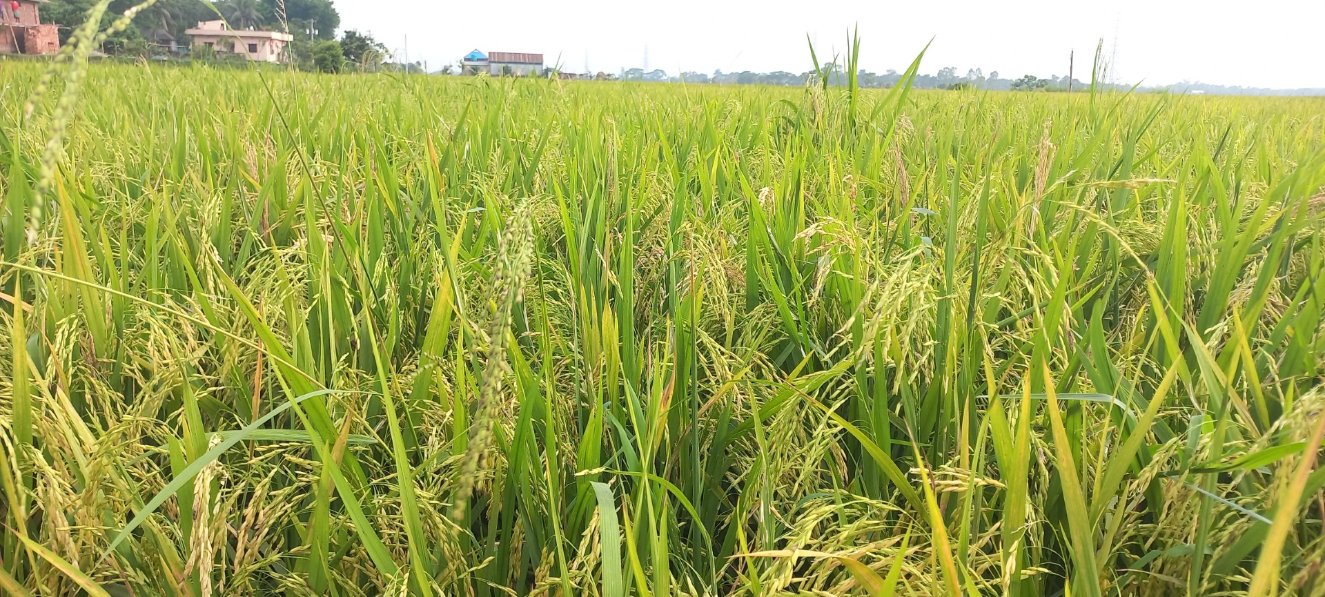 thumbnail_20250422_160830