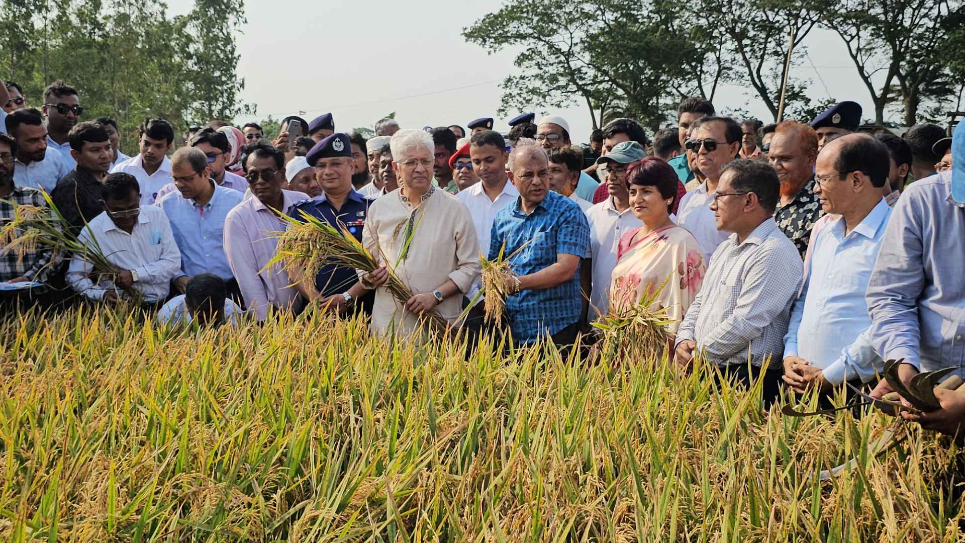 ধান কাটা উৎসবের উদ্বোধন করলেন স্বরাষ্ট্র ও কৃষি উপদেষ্টা জাহাঙ্গীর আলম